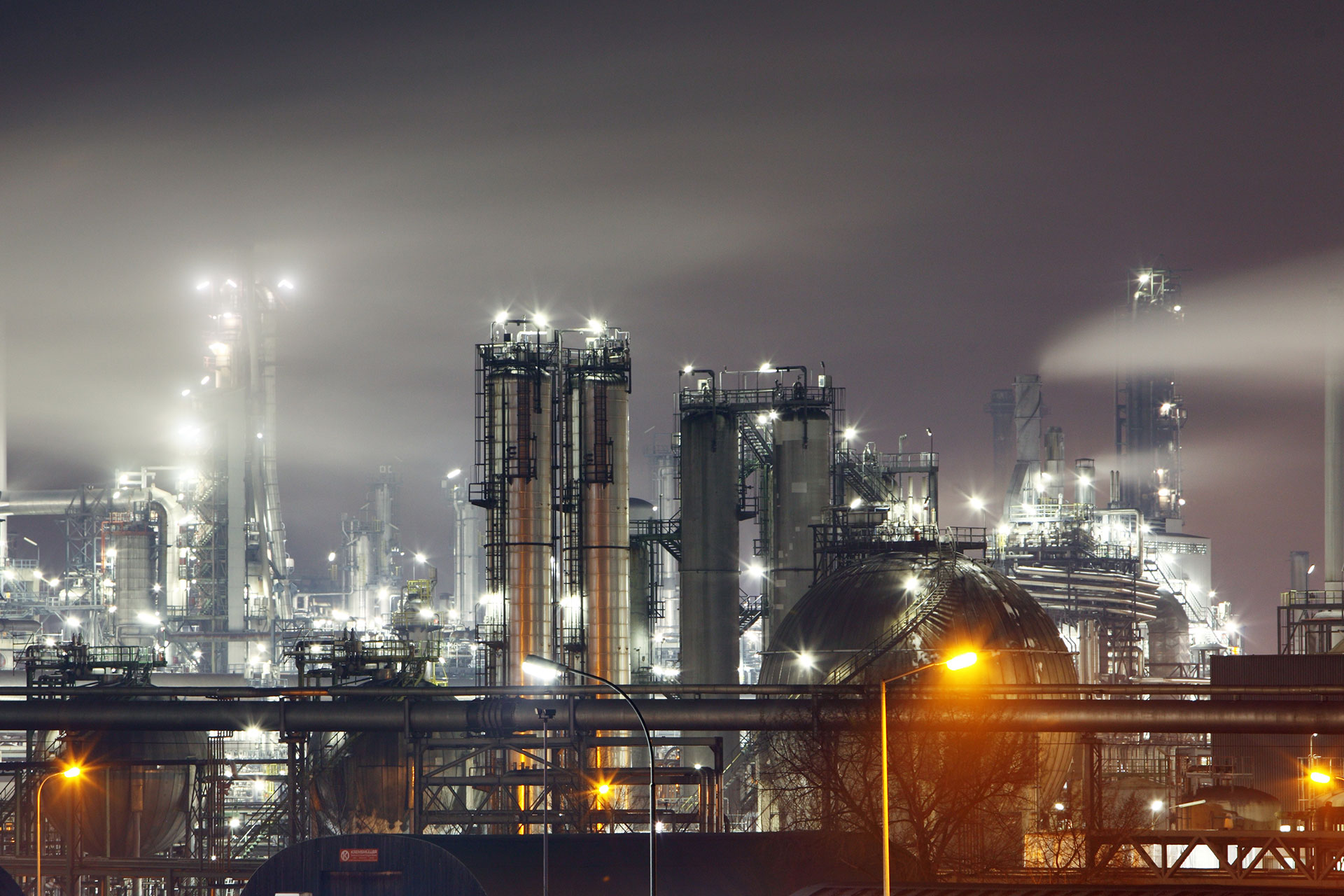 2021 Yaz  bahçemizden Kareler