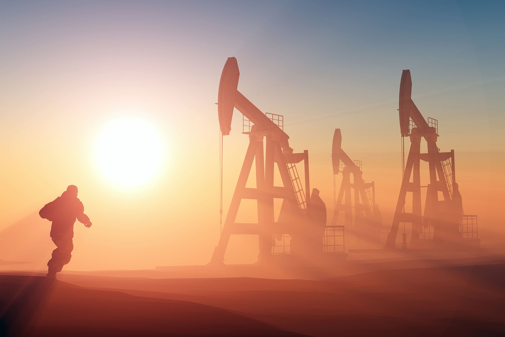 2021 Yaz  bahçemizden Kareler