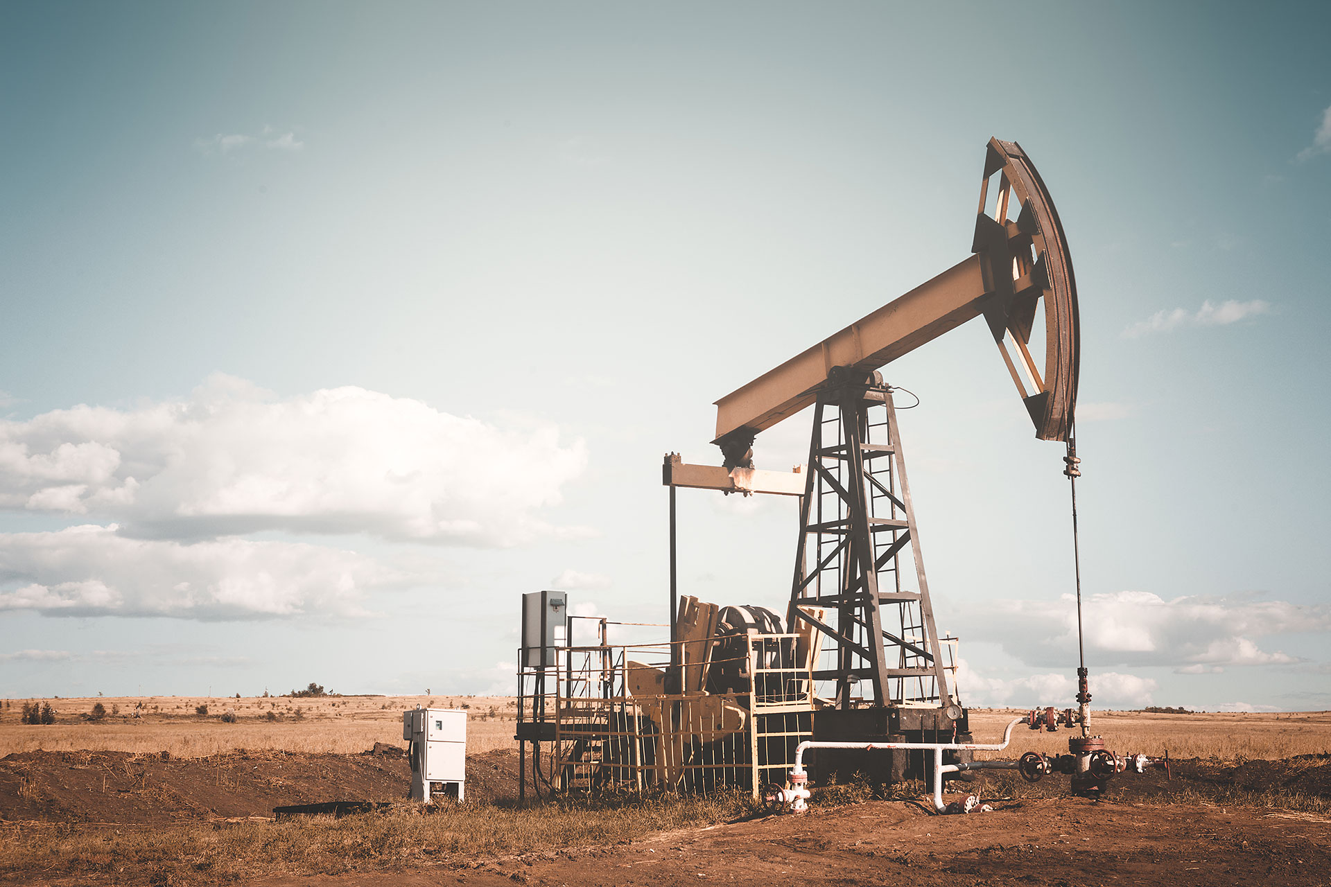 2021 Yaz  bahçemizden Kareler