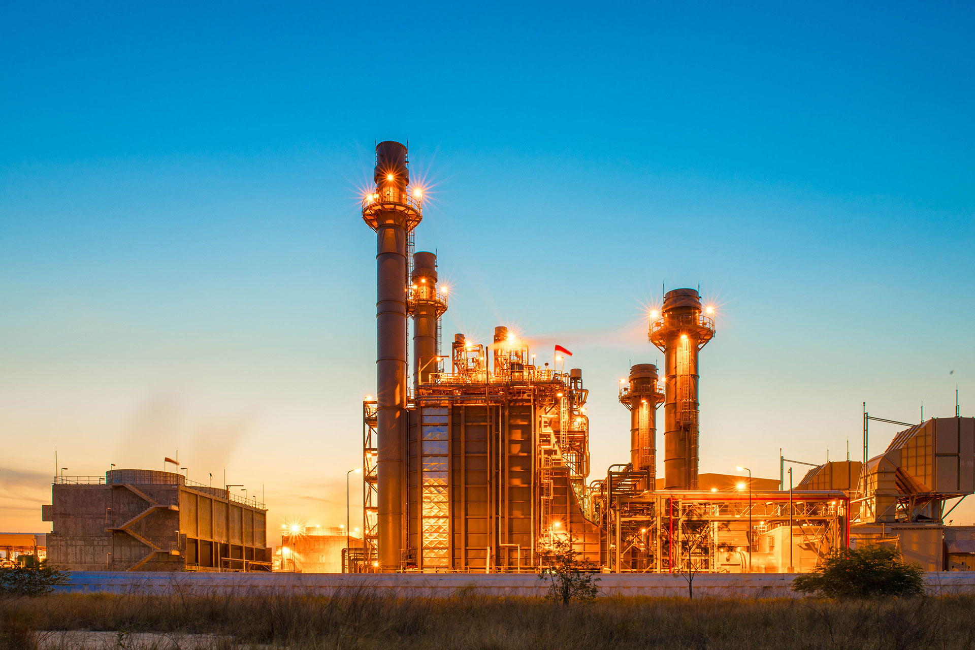 2021 Yaz  bahçemizden Kareler